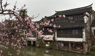 太仓市沙溪高级中学