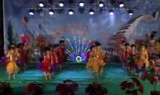 少儿舞蹈最炫民族风