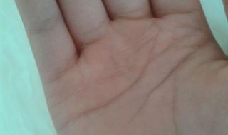 手相图解女右手