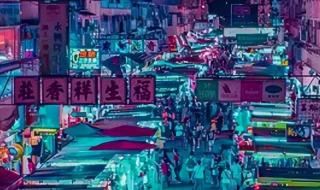 赛博格是什么意思