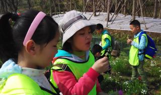 表白妈妈最暖心短句