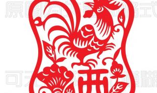 尾巴难藏是什么生肖