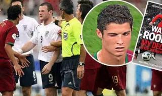 2006世界杯彩绘葡萄牙